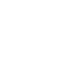 Long Range Icon