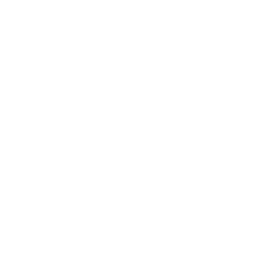 Performance Icon